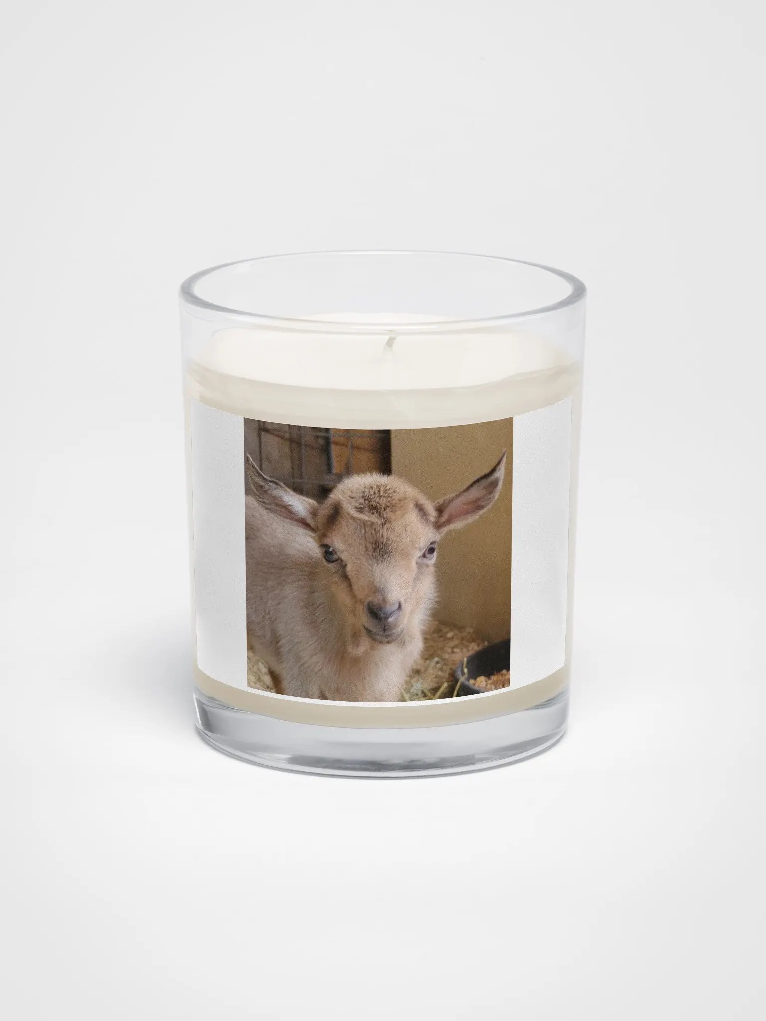 Baby Kiwi goat candle product image (1)