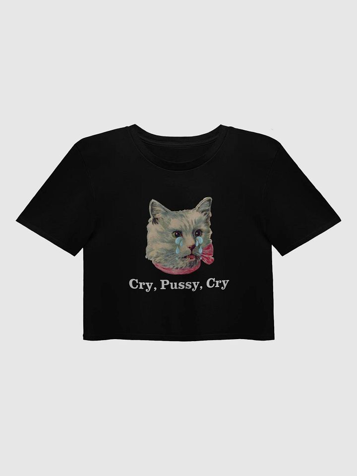 Crying Kitty product image (3)