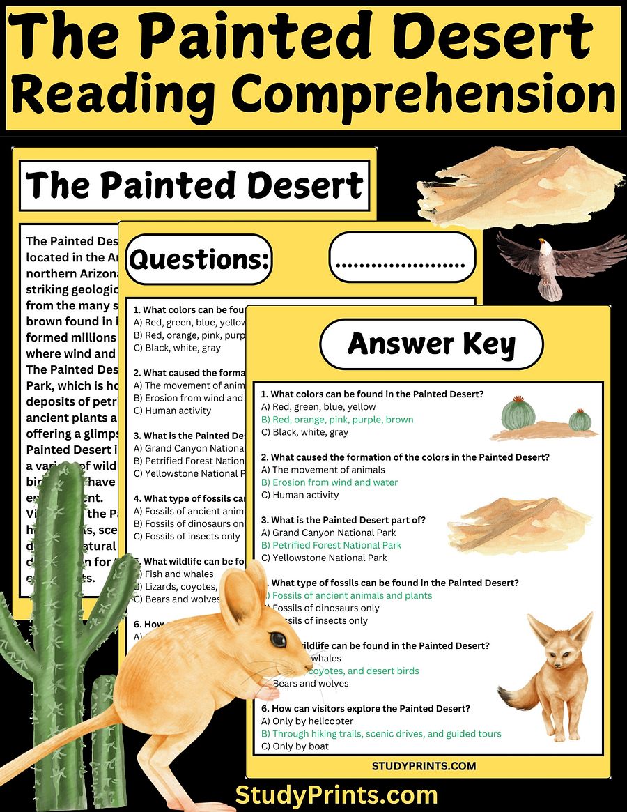 The Painted Desert Reading Comprehension Worksheet product image (1)