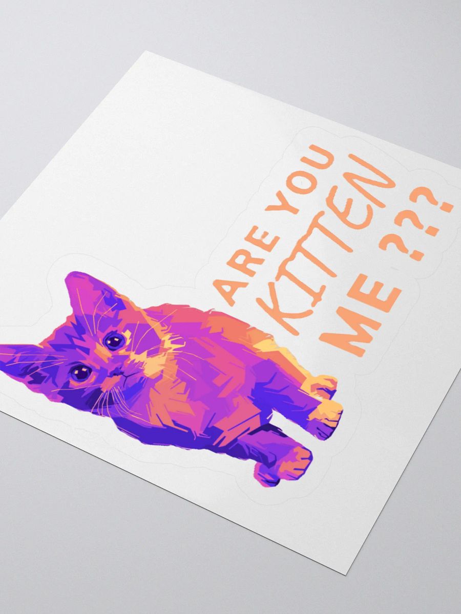 ARE YOU KITTEN ME??? product image (8)