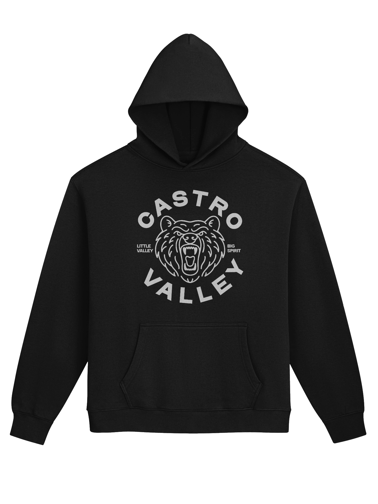 CV Hoddie product image (1)