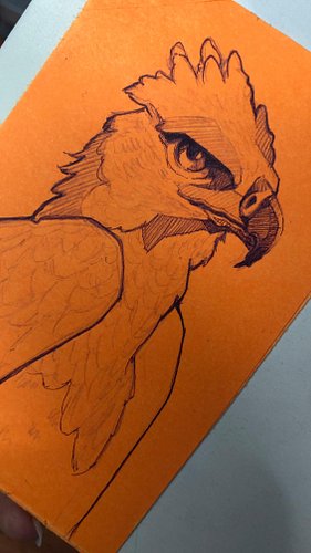 Día 05, dibujando una 🦅 #drawinganimals #drawoninstagram #sketch_daily #quicksketch