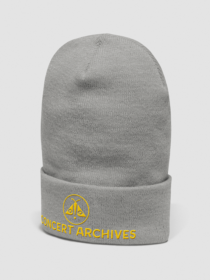 Concert Archives Beanie (Moth on Top) product image (12)