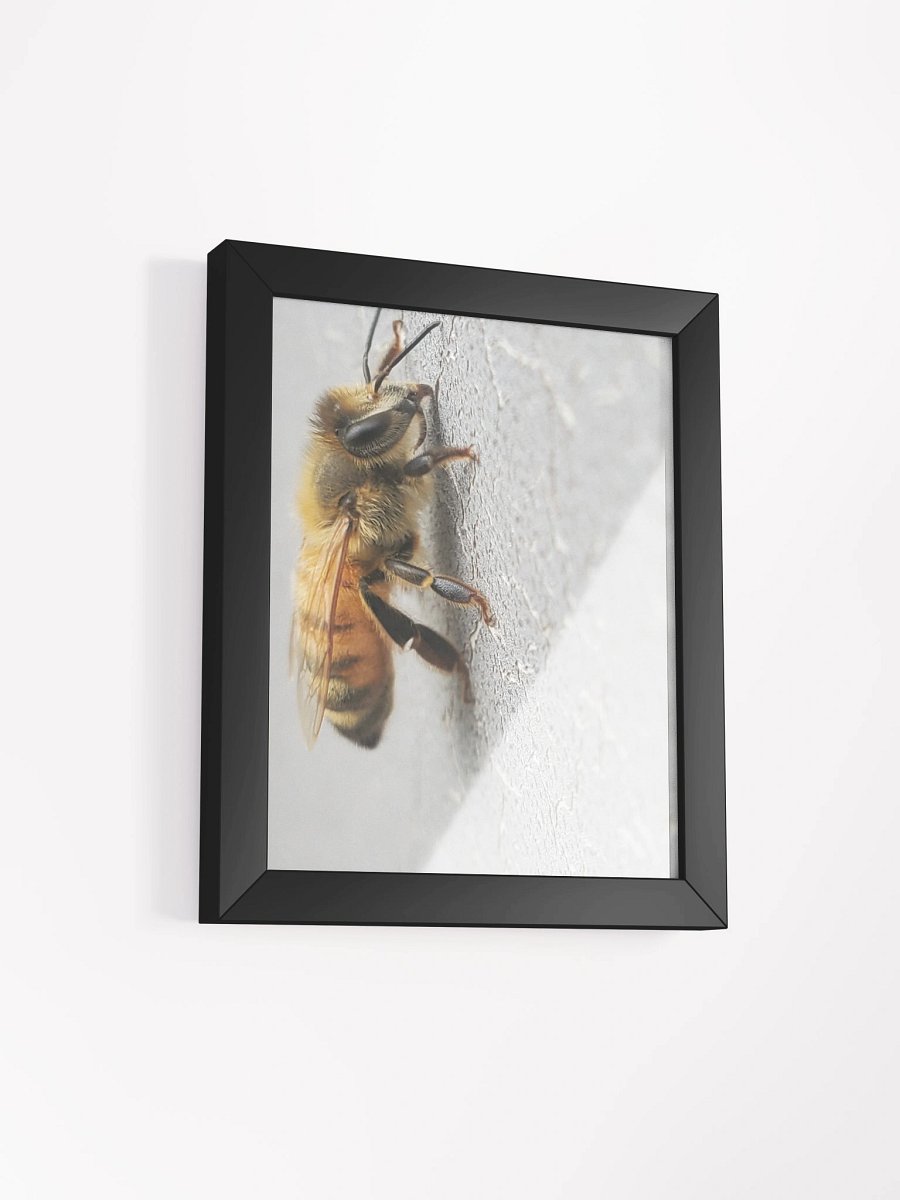 Buzzing Beauty Framed Matte Poster product image (3)