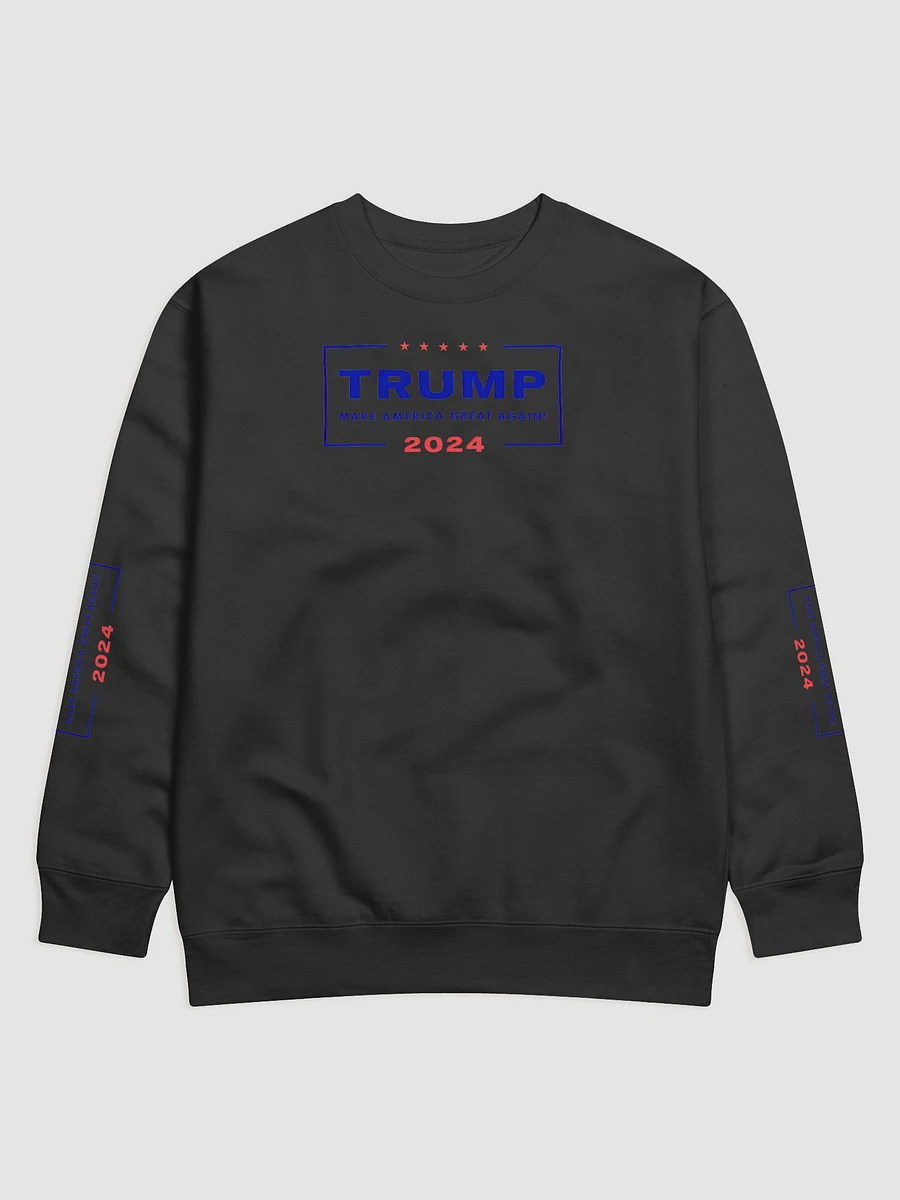 2024 American Campaign Sweatshirt product image (1)