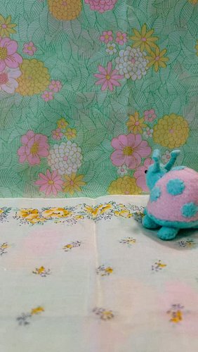 The easygoing ladybug and the busy little ant 🐞🧇🐜
I created a stop-motion animation with the plushies I made✨

おっとりてんとう虫と、せかせ...