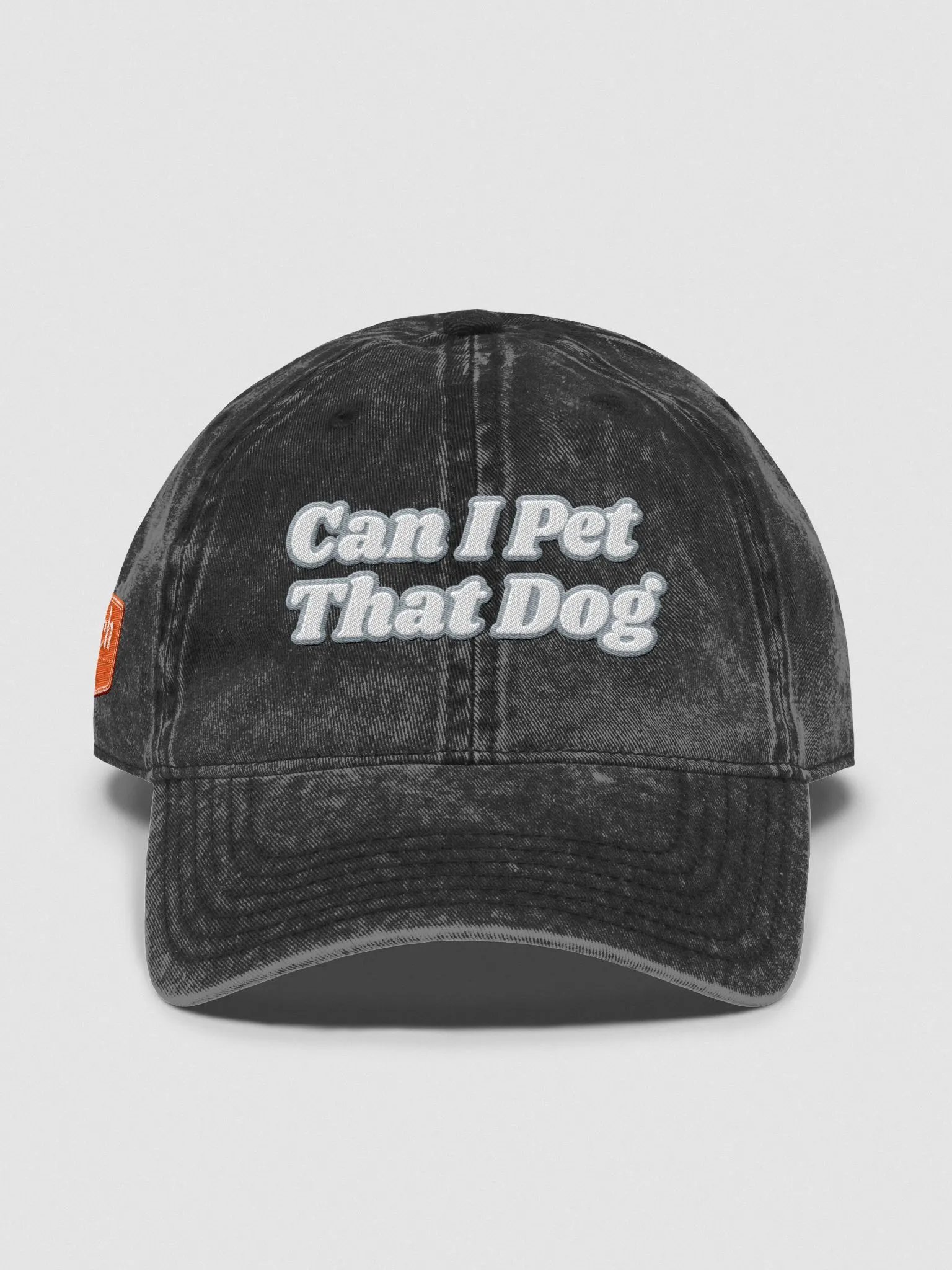 Faded Dad Hat Can I Pet That Dog product image (1)