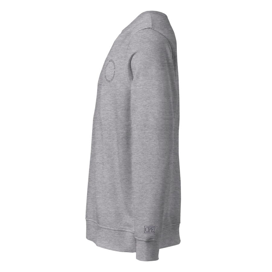 Embroidered Circle Crewneck (Gray) product image (5)