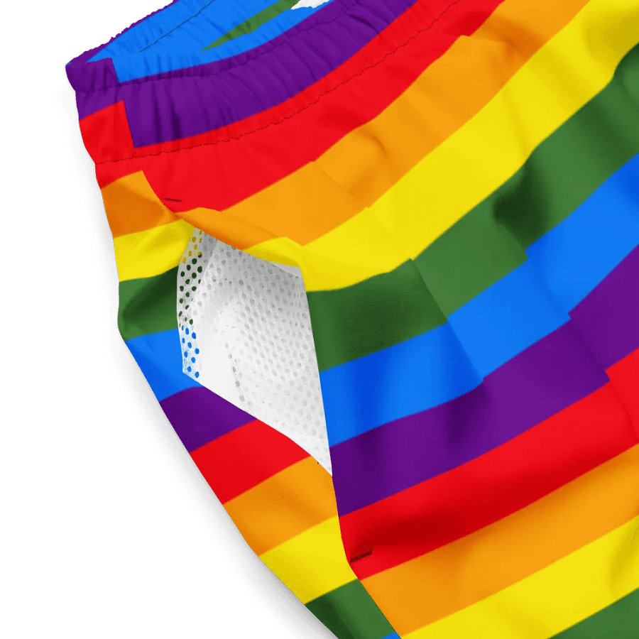 Vibrant Stripes Paradise Swim Shorts product image (4)