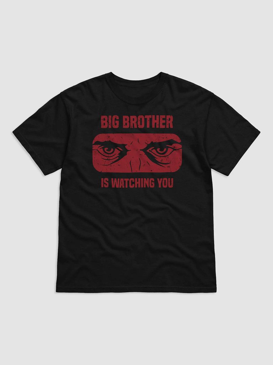 Big Brother Is Watching You T-Shirt product image (1)