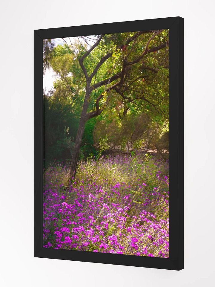 Wildflowers in Light product image (2)