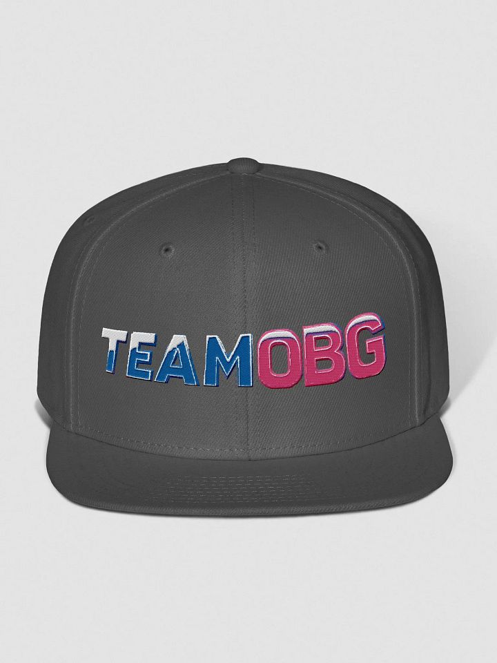 TeamOBG Snapback: Grey product image (2)