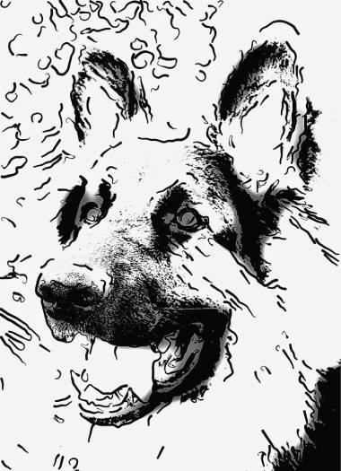 German Shepherd Artwork product image (1)