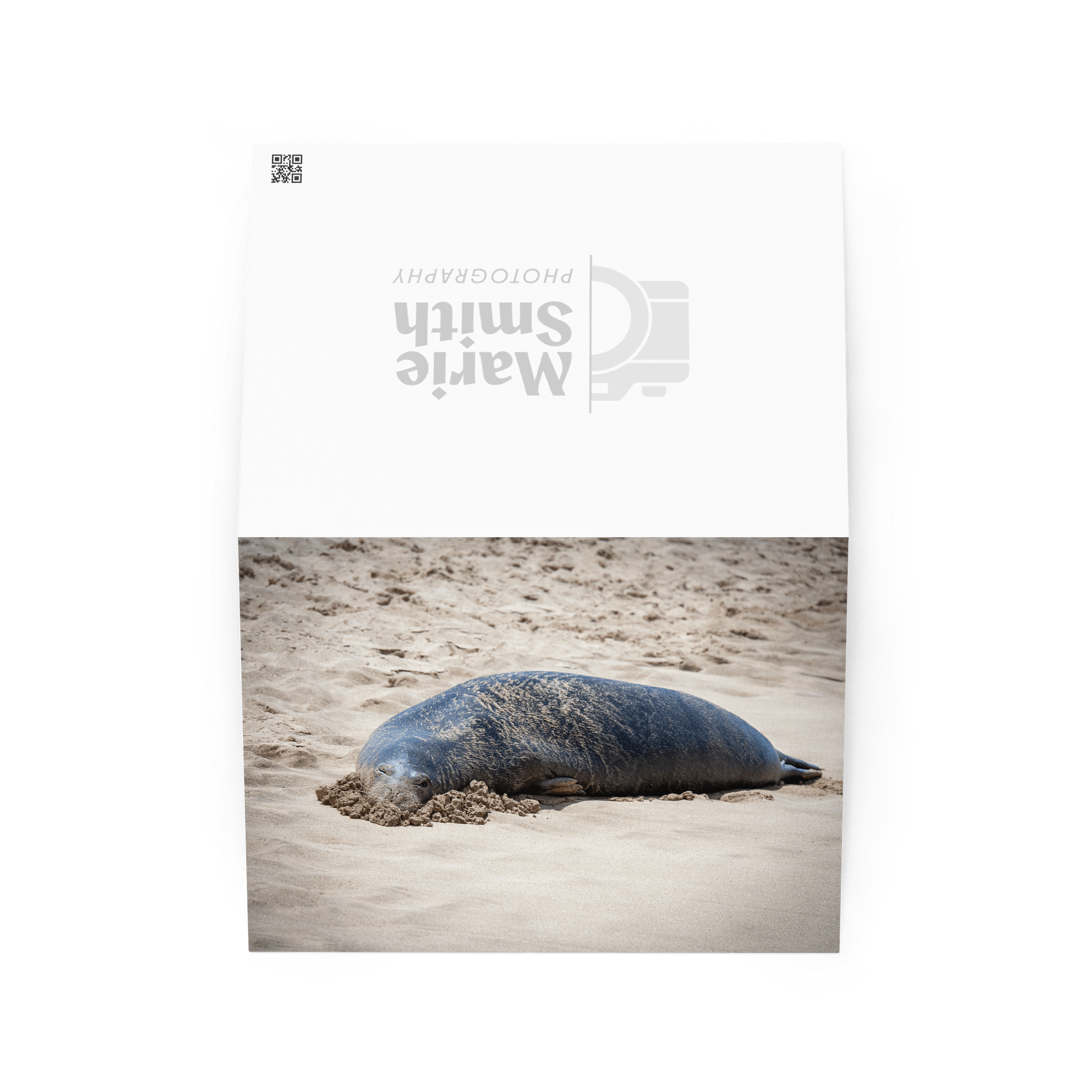 Sandy Seal Greeting product image (2)