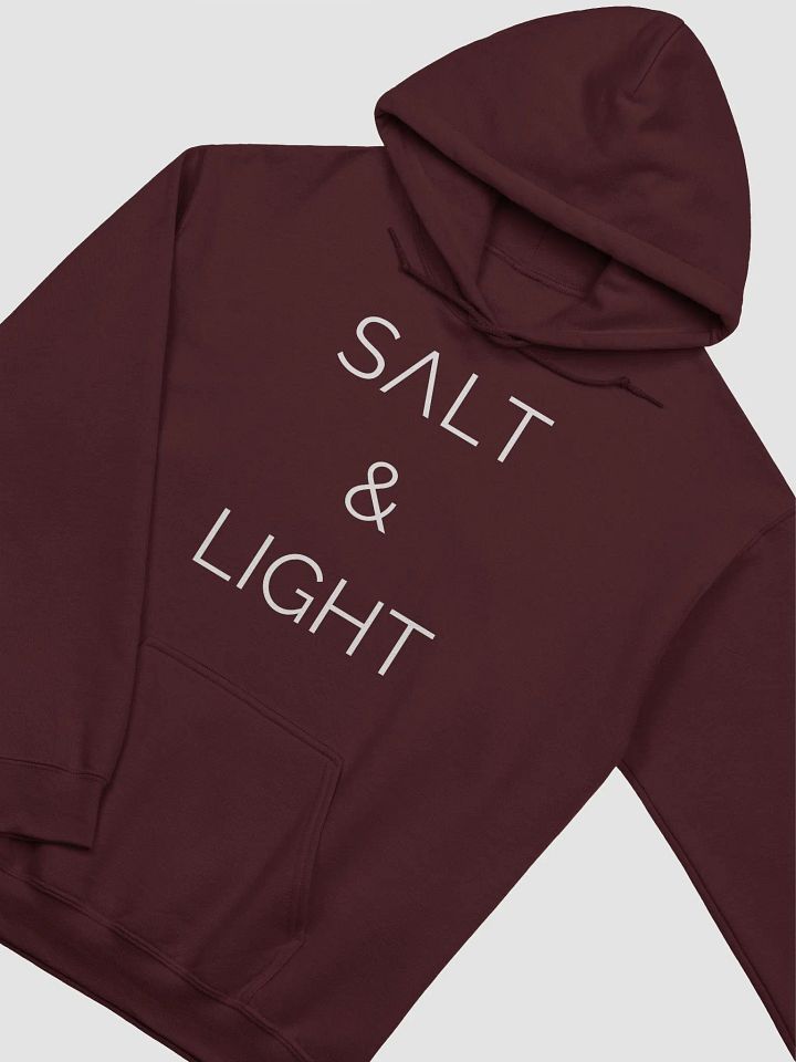 Salt & Light Hoodie product image (20)