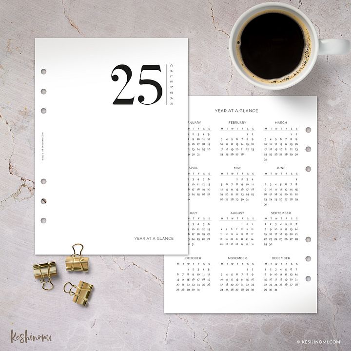 2025 Calendar, Year at a Glance - A5 Printable Planner Insert product image (1)