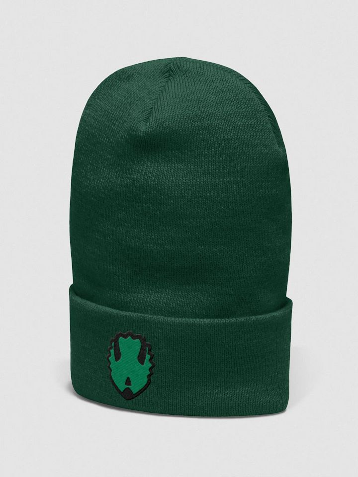 Touque/Winter Hat Green product image (2)