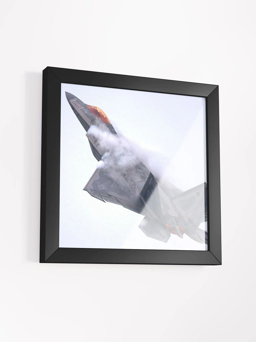 F-22 High G Turn product image (14)