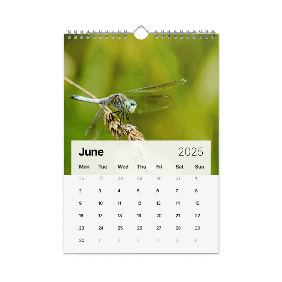 You need it. You might as well buy this one Calendar product image (8)