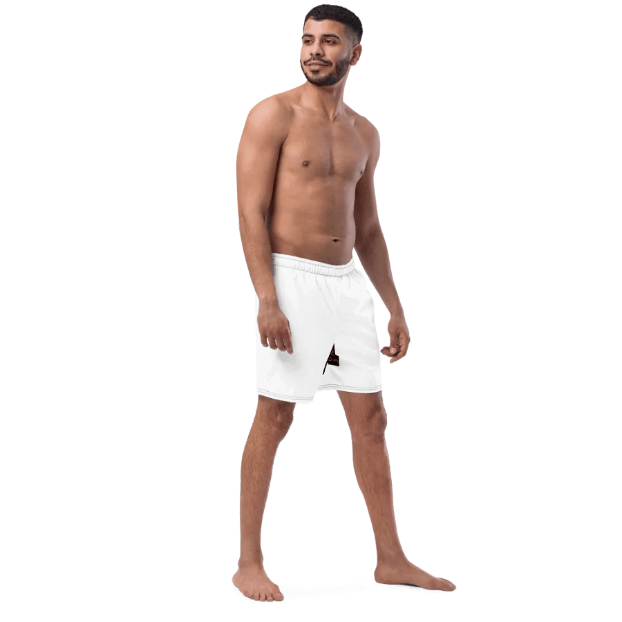 Nr2 swim shorts product image (5)