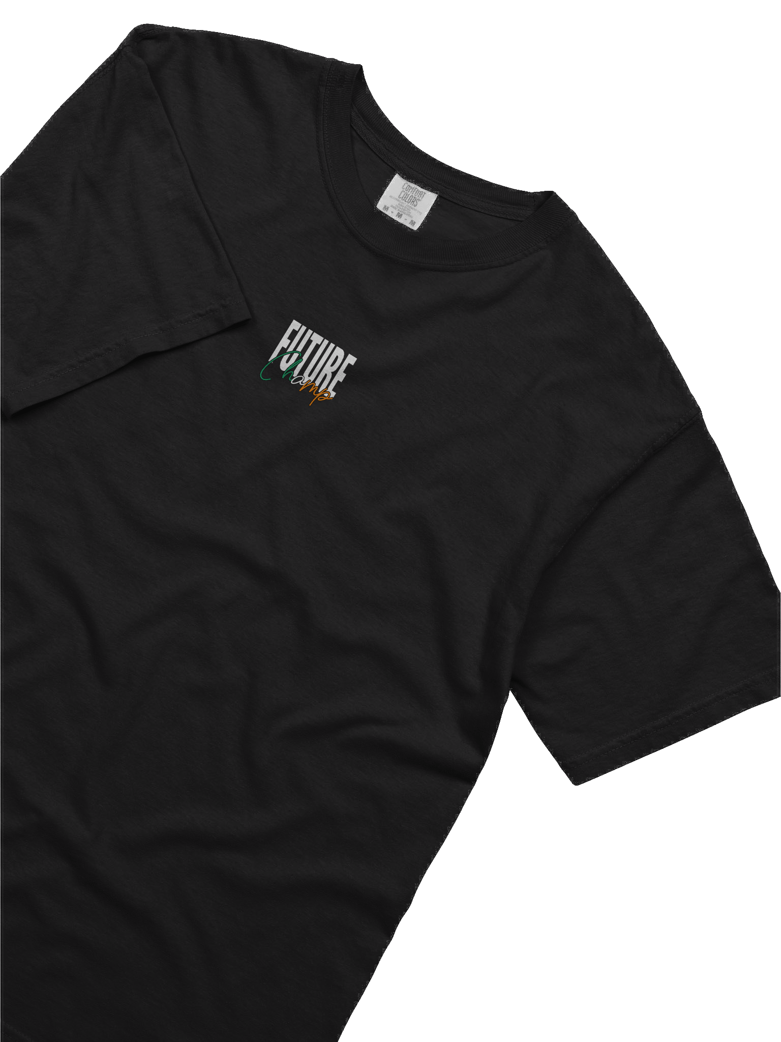 Future Champ Tricolour Tee product image (6)