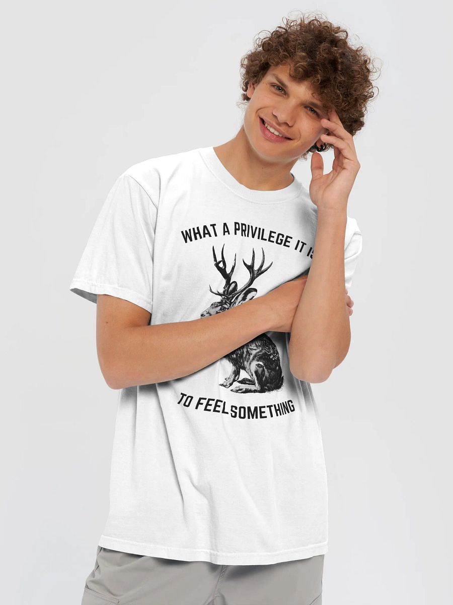 The Privilege of Feeling Something T-Shirt product image (9)