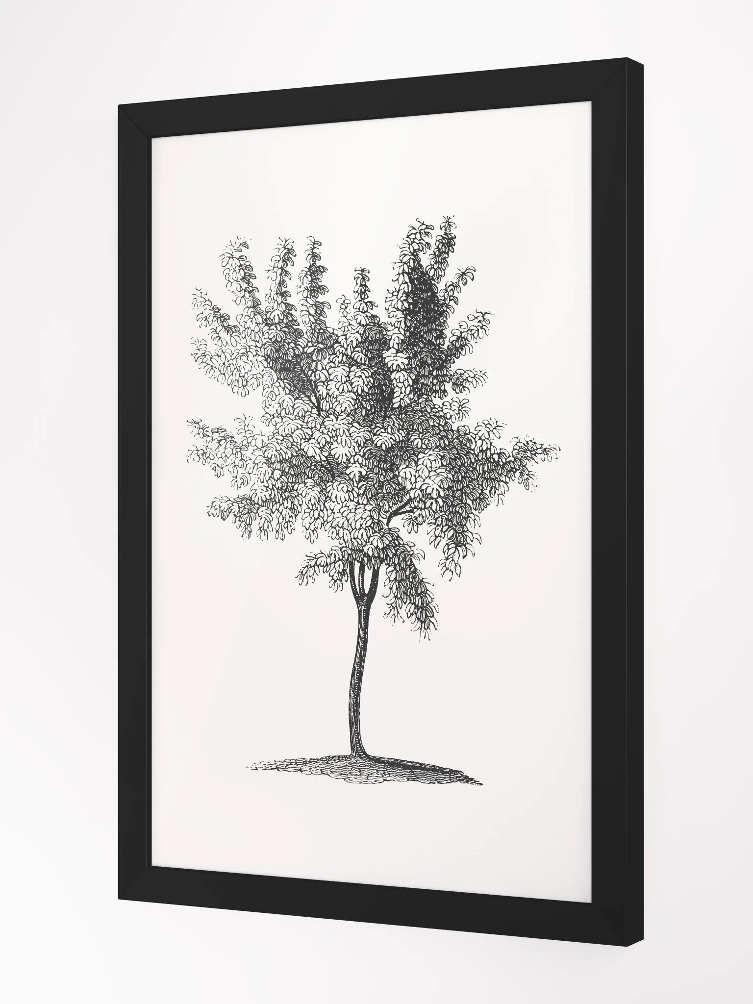 Woodland Trees #2 Framed Print product image (3)