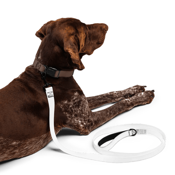 White Zenith Blank Canvas Pet Leash product image (1)