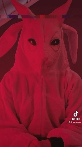 Beelzebun is watching. Happy easter
————————————————————
#reels #easter #bunny #tiktok #horror #scary #story #easterbunny #re...