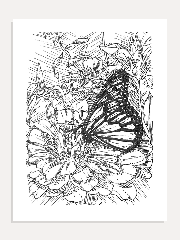 Butterfly in Ink Giclée Art Print product image (1)