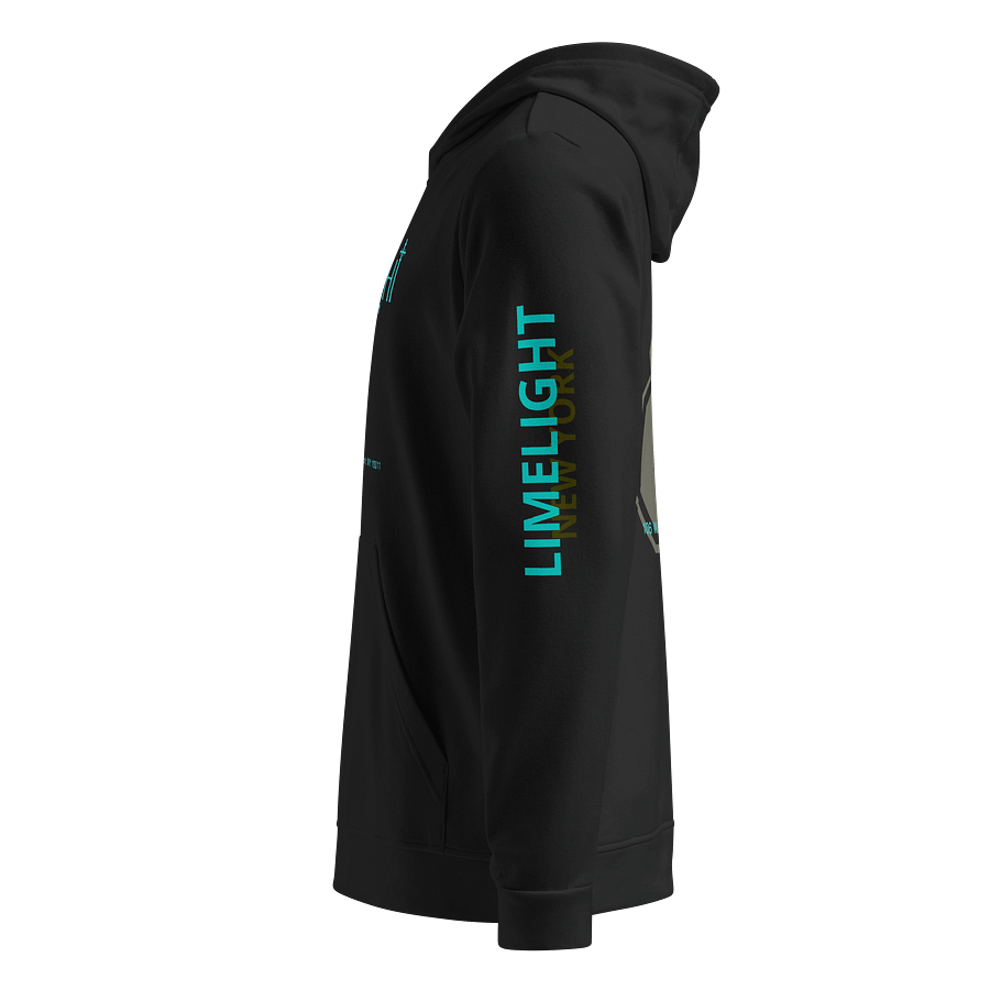 Big Apple - NYC | Hoodie product image (2)