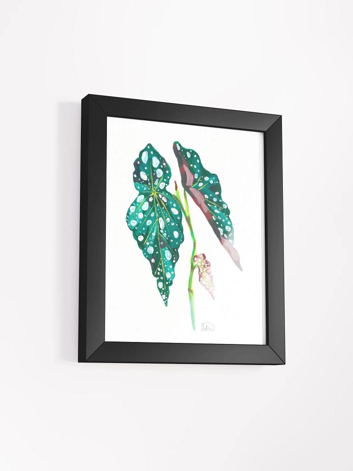 Begonia Frame product image (43)