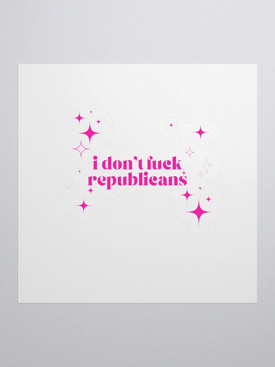 I don't fuck republicans sticker product image (1)