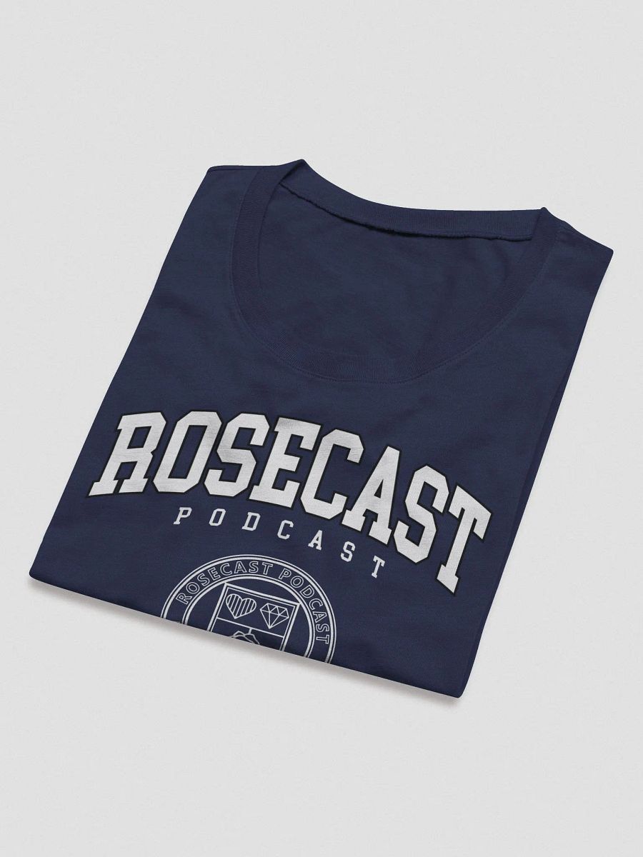 Fancy College T-Shirt (Women's Triblend) product image (5)