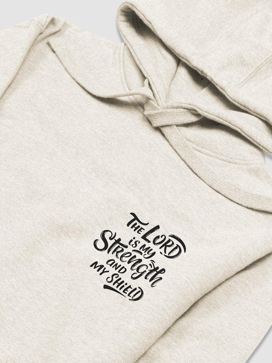 The Lord is my Strength and my Shield Premium Hoodie product image (6)