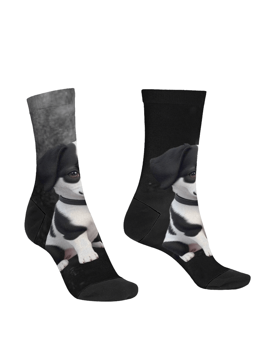 WallE Socks product image (3)