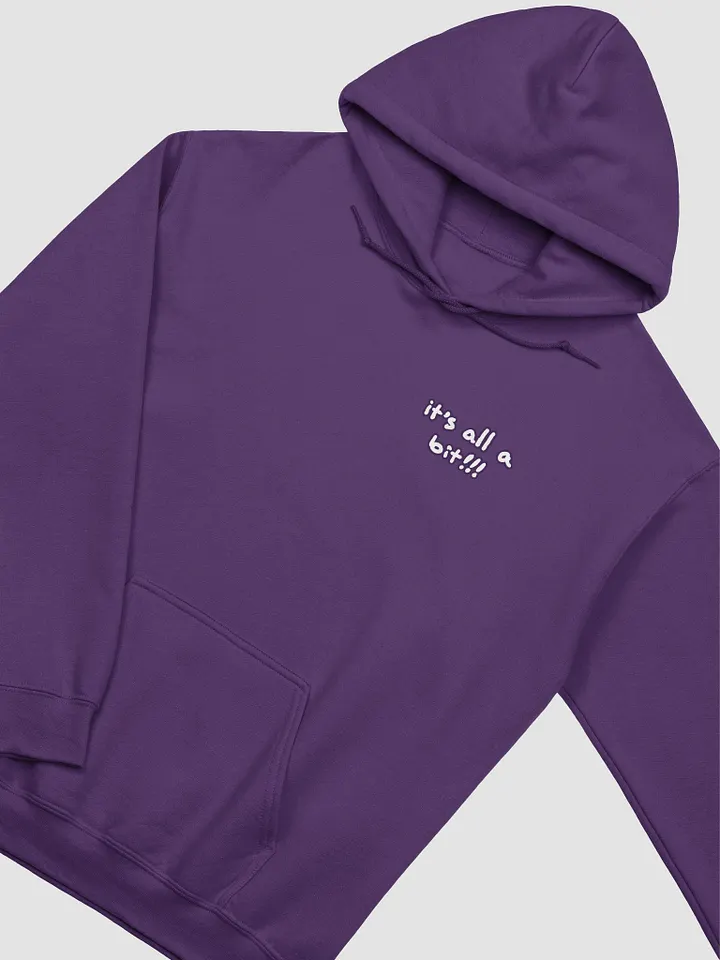“It’s all a bit!!!” (sm. lined design, #432A54) classic hoodie product image (55)