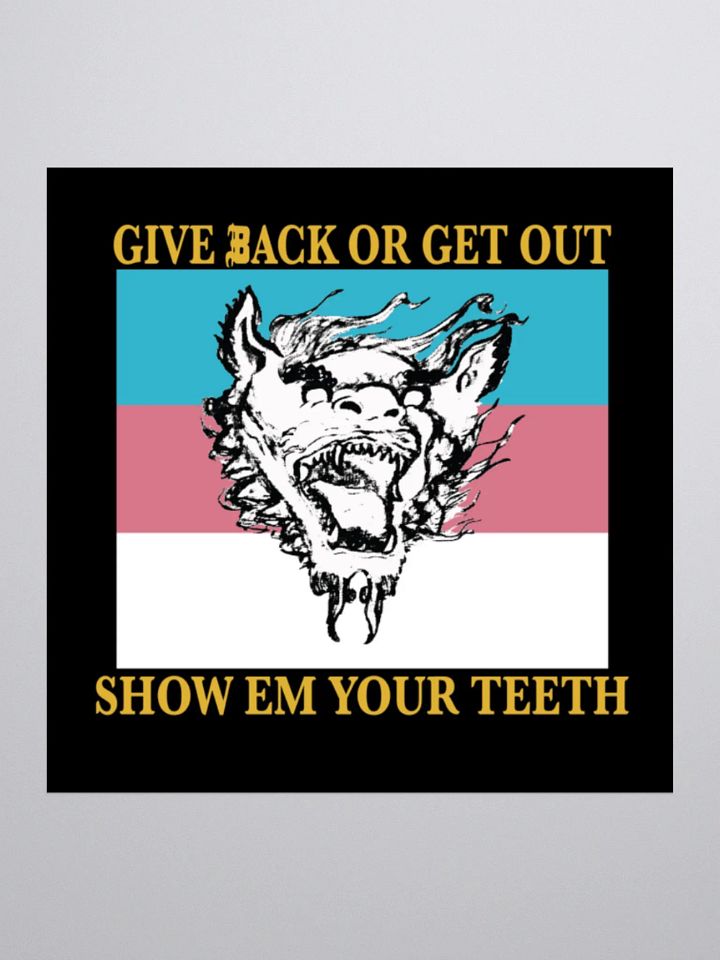 S.E.Y.T. flag sticker product image (1)