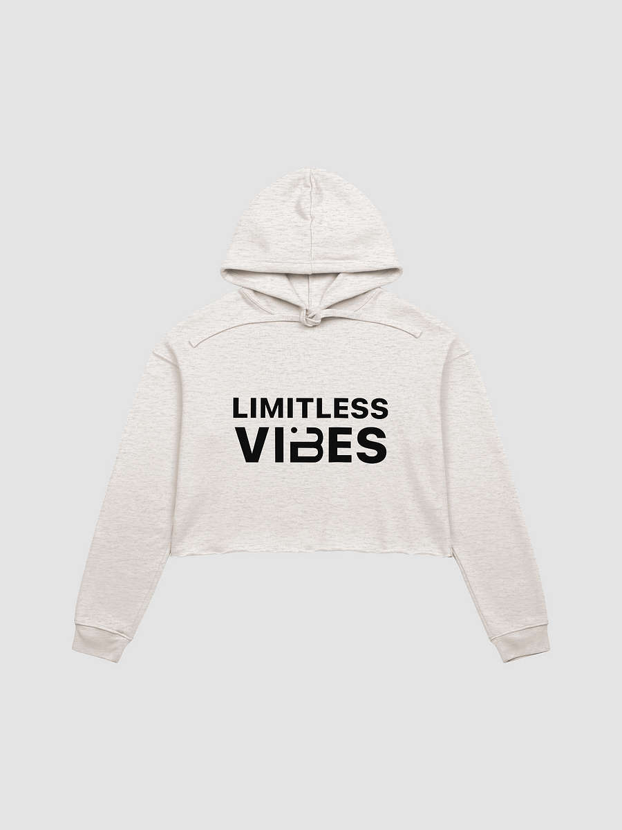 BUIII Limitless Vibes Fleece Crop Hoodie product image (1)