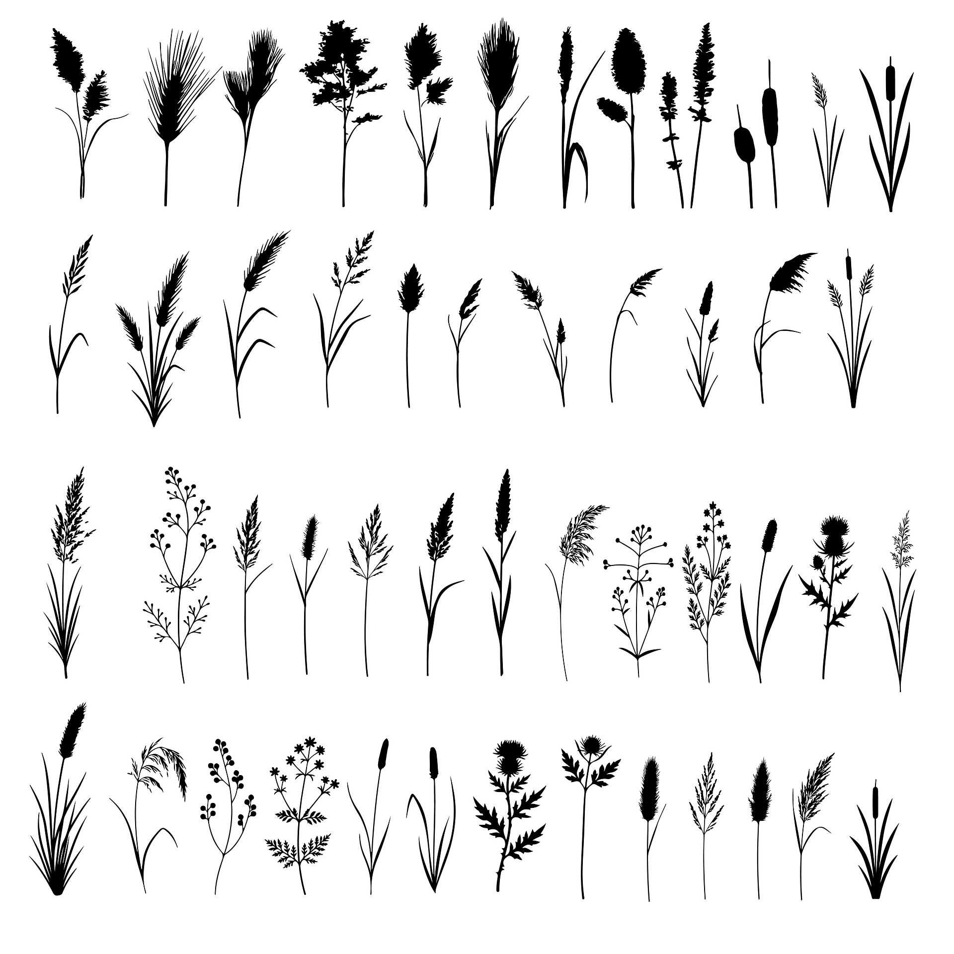 Wetland Botanical Flowers and Leaves Silhouettes product image (5)