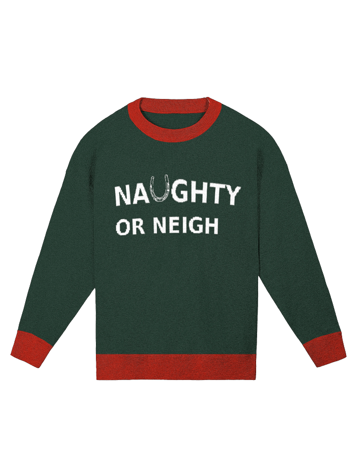 The Naughty or Neigh Sweater product image (1)