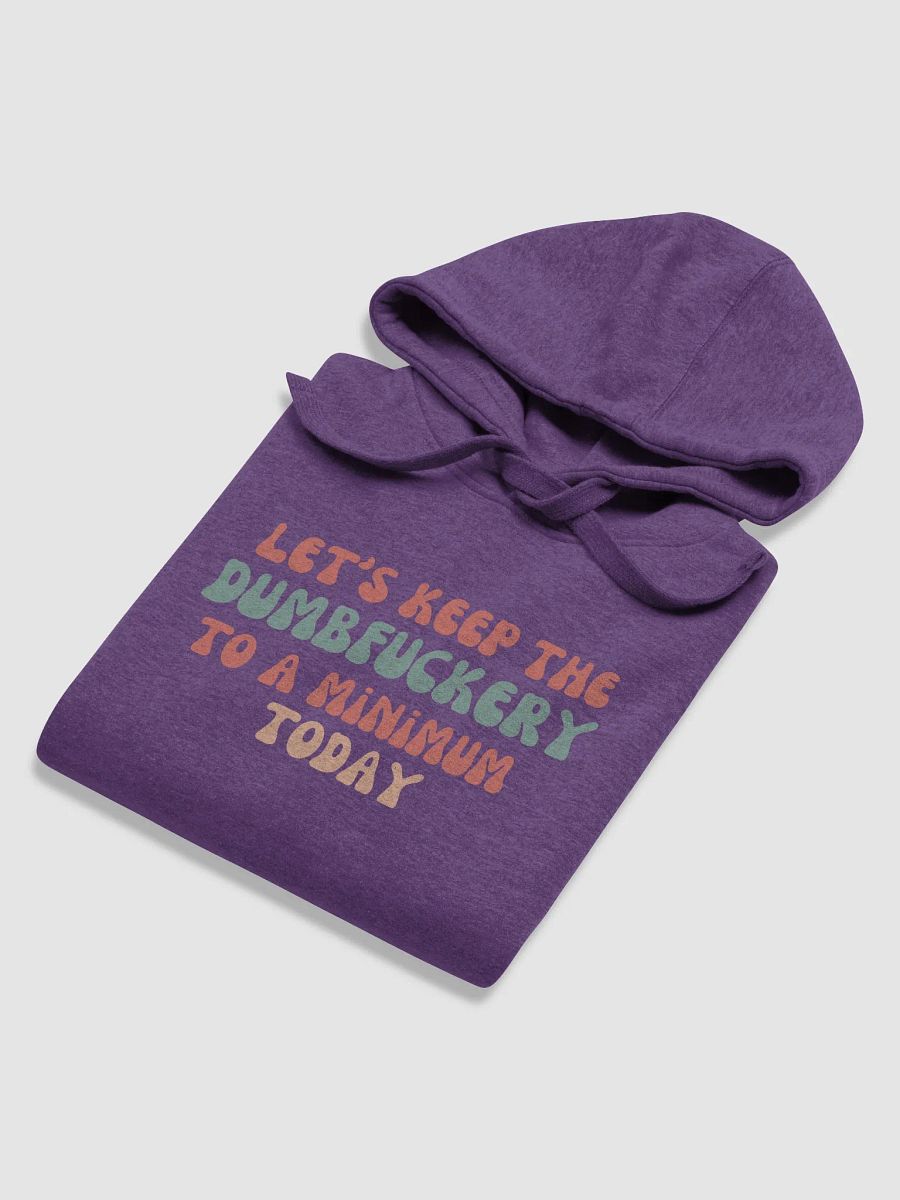 Hoodie: Let's Keep the DumbF*ckery to a Minimum Today product image (18)