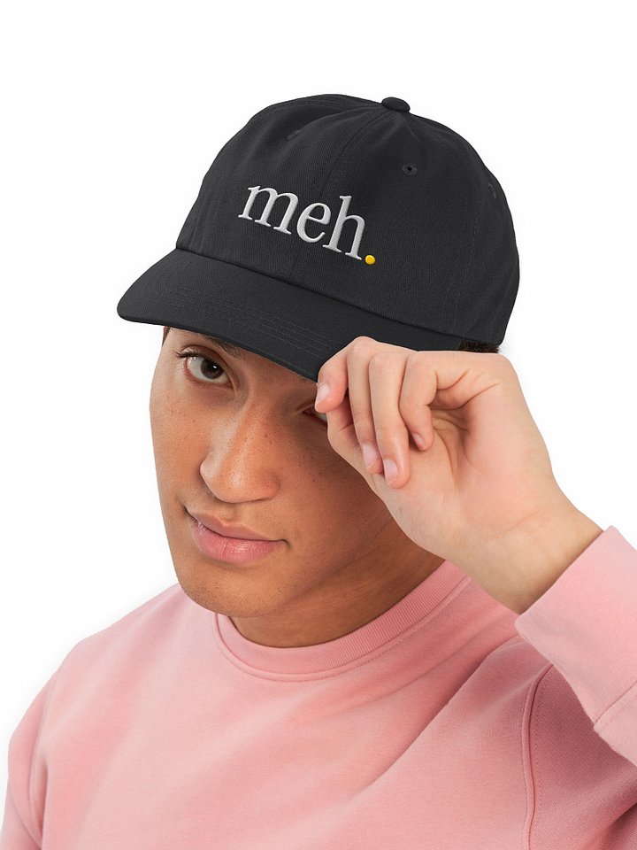 Meh. Hat product image (1)