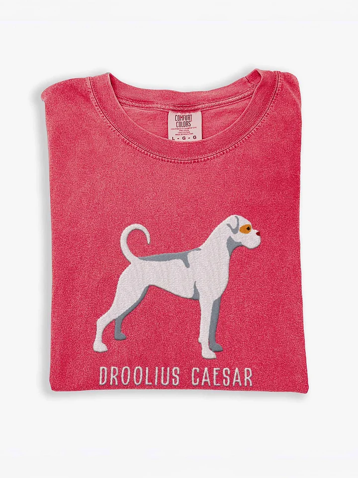 Droolius Caesar T-Shirt(Embroidered) of a Boxer(White) product image (1)