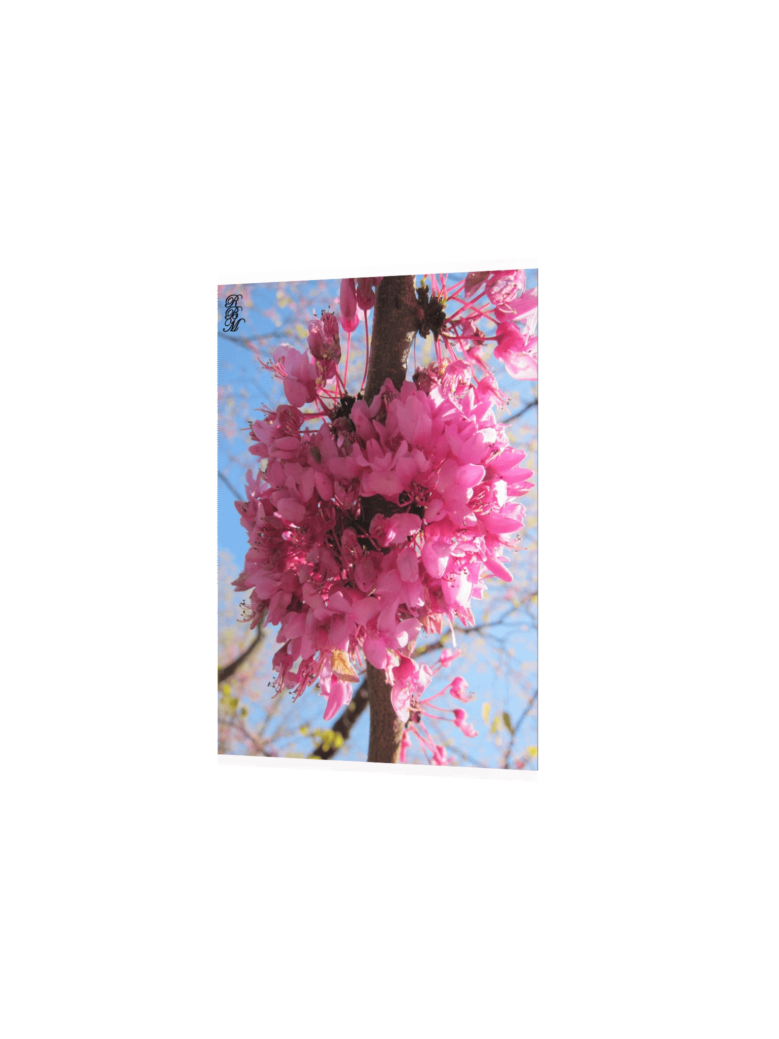 Pink Flowers on a Tree product image (4)