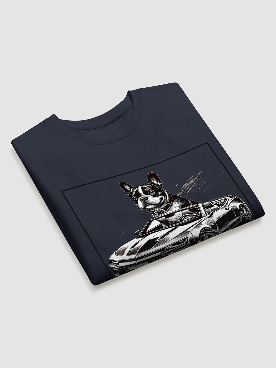 Boston Sweatshirt product image (24)