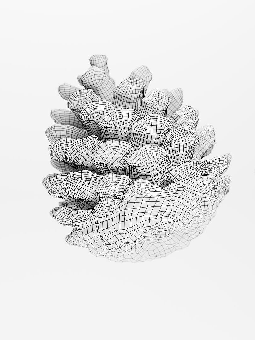 Pinecone - 3D Scan product image (4)