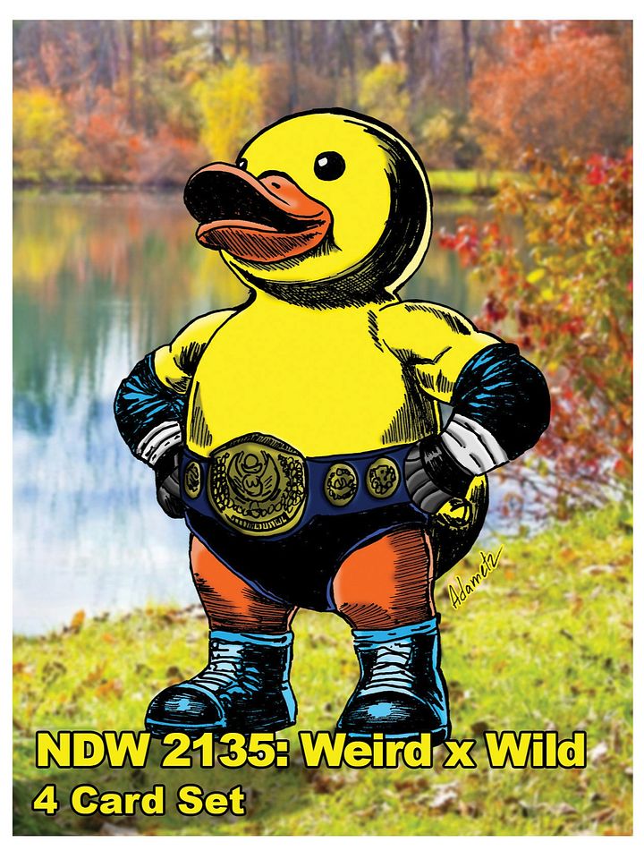 NDW 2135: Weird x Wild - Game Cards product image (1)