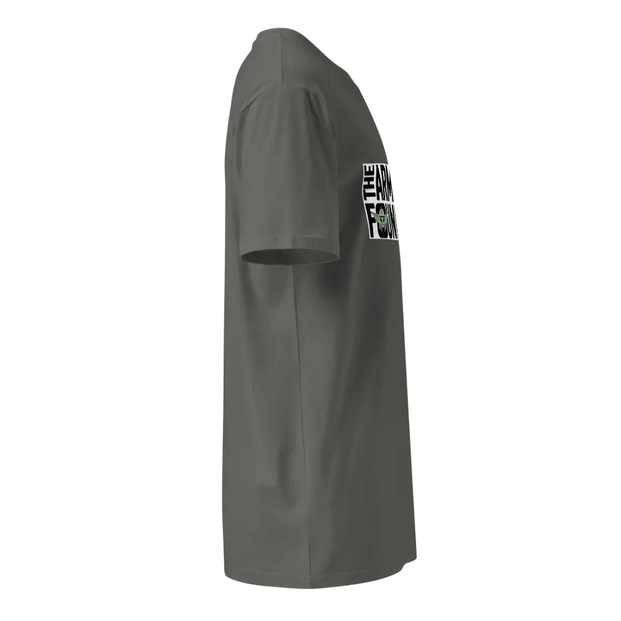 T-Shirt gray TAF product image (4)