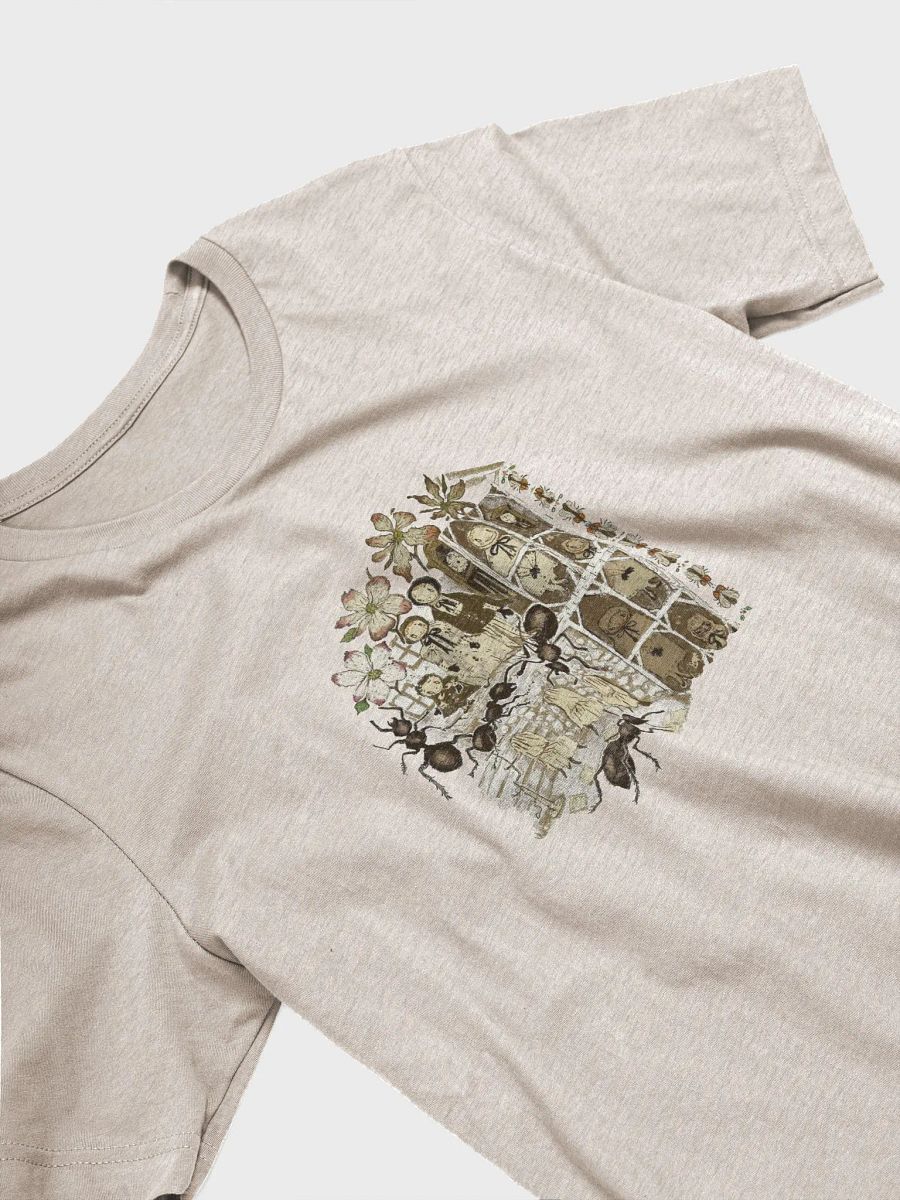 Blüten-Hartriegel, 2020 product image (4)